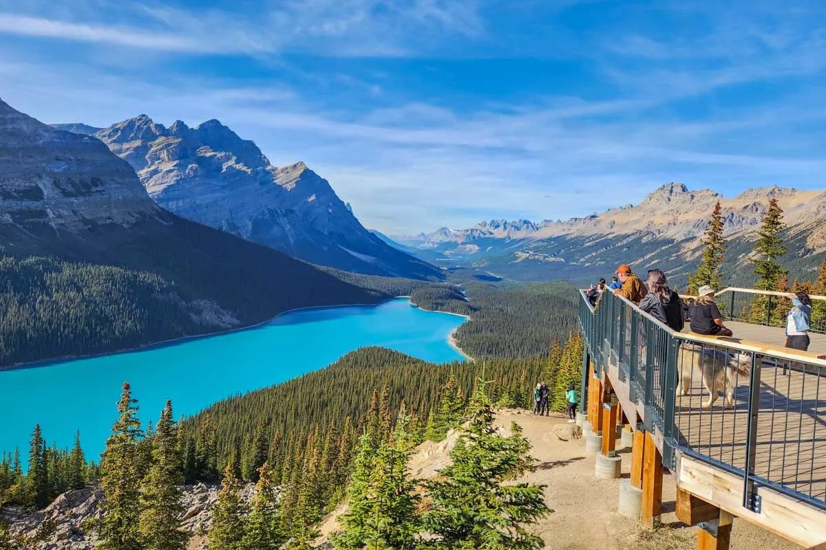 페이토 호수 전망대 (Peyto Lake Viewpoint Deck)